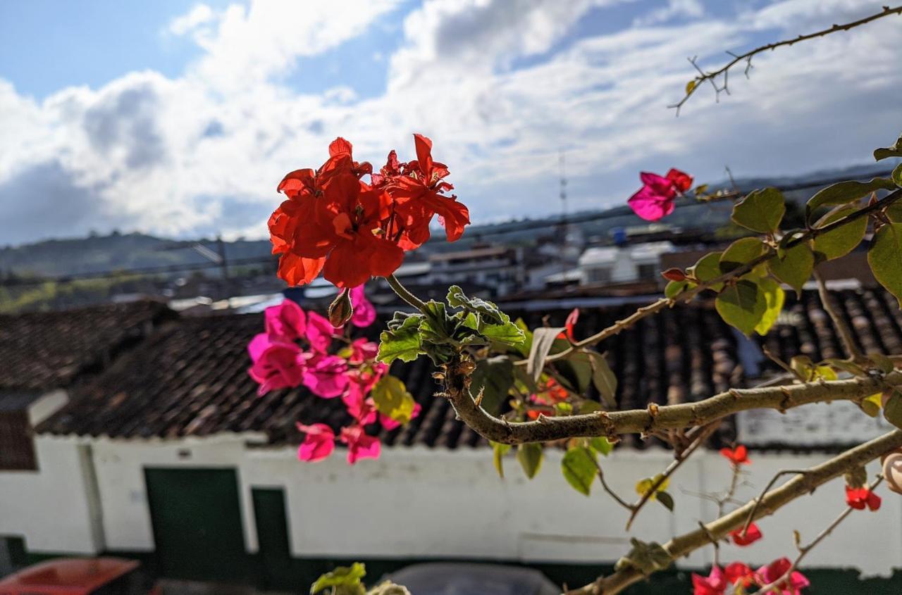 Hospedaje El Jardin San Agustín Eksteriør billede